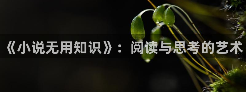 趣笔阁