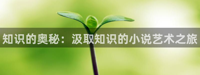 盗墓笔记小说趣笔阁