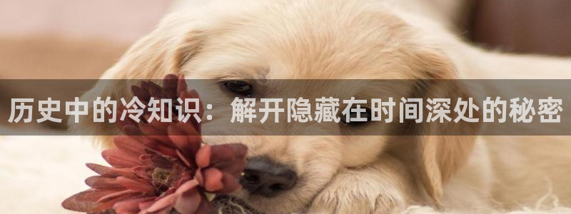 趣笔阁全本小说网