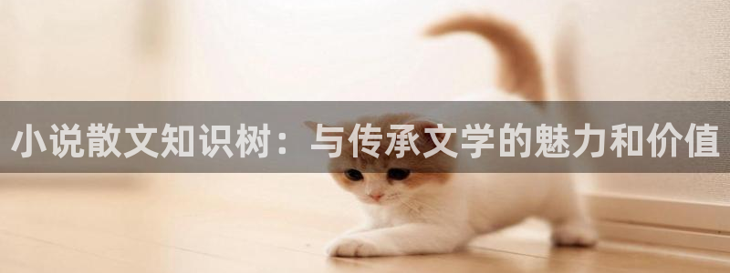 阿宾正传1—72与钰慧趣笔阁
