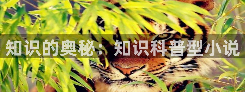 趣笔阁辣文
