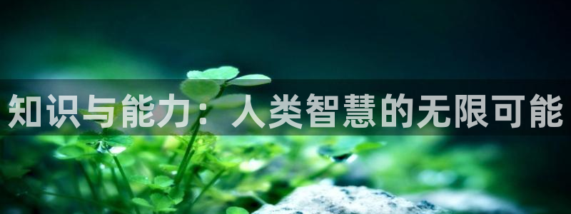 步步惊情韩雪老谢趣笔阁