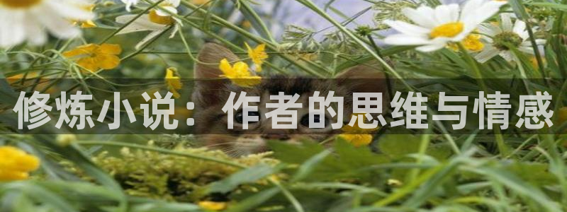 步步惊情韩雪老谢趣笔阁